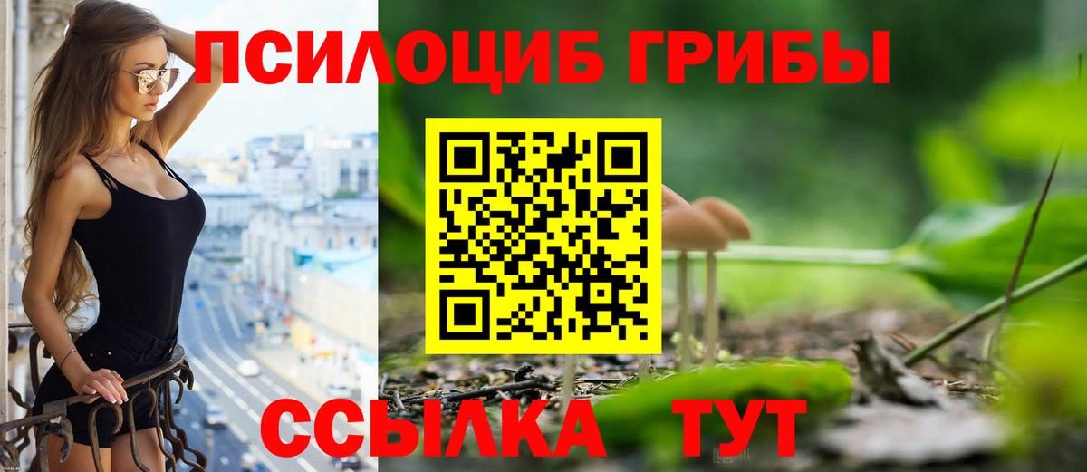 Псилоцибиновые грибы MAGIC MUSHROOMS Карпинск